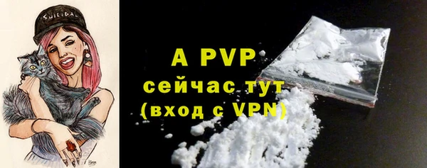 сатива Абинск
