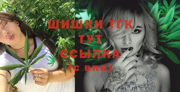 сатива Абинск