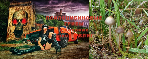 трава Абаза