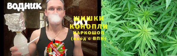 трава Абаза