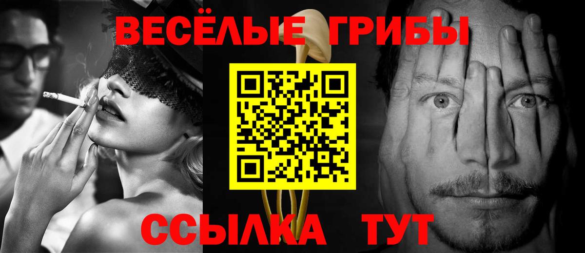 Воронеж  Псилоцибиновые грибы Psilocybe  Вход с VPN  Псилоцибиновые грибы Cubensis 