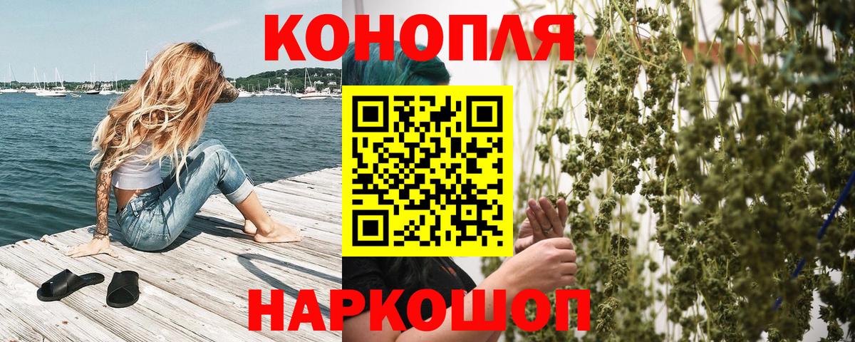 Бошки марихуана конопля  Конопля план  Воронеж  Вход с VPN 